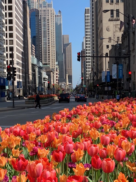 Chicago's Magnificent Mile