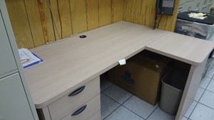 Tracking down rattlesnakes desk - Target Online (after)